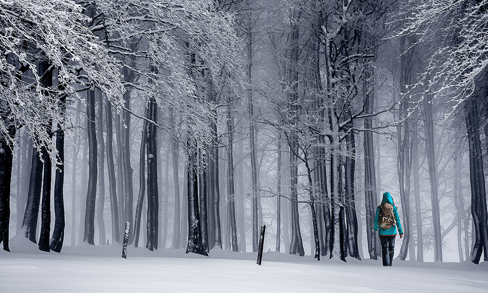 Story image for Winter by Story image for Winter by