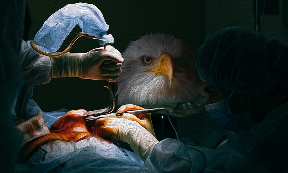 Story image for Prometheus’ Kidneys by Story image for Prometheus’ Kidneys by