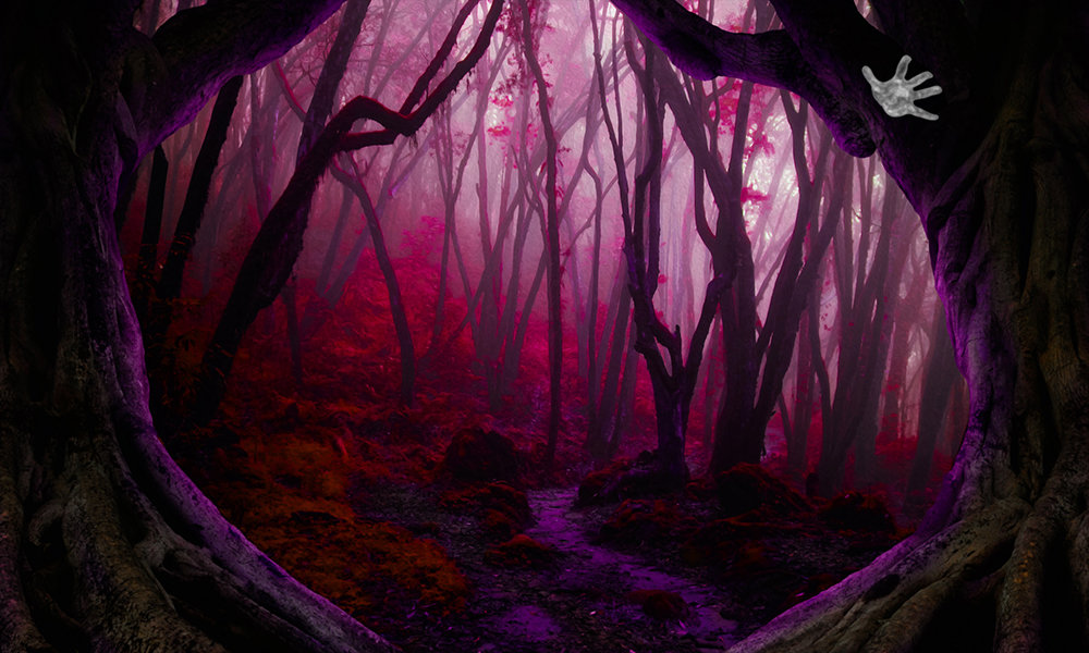 Story image for A Grave of Wind and Leaves by Story image for A Grave of Wind and Leaves by