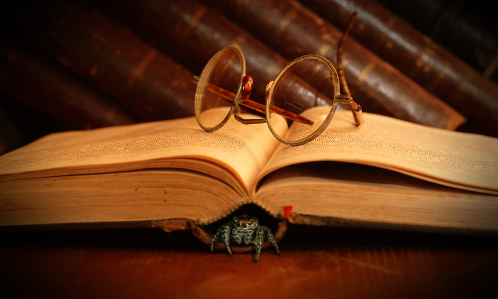 Story image for Silverfish, Noun; Help, Verb by Story image for Silverfish, Noun; Help, Verb by