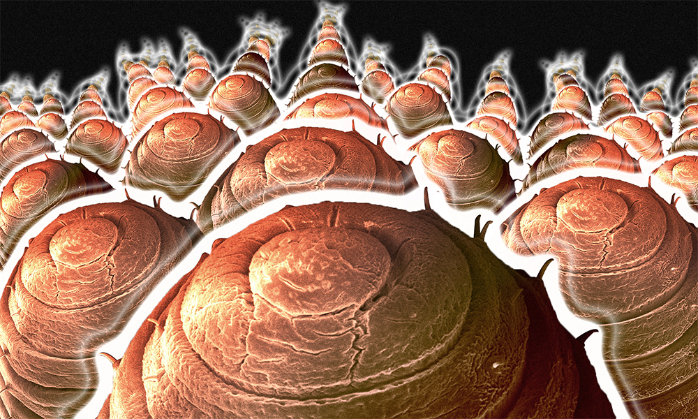 Story image for In The Weave by Story image for In The Weave by