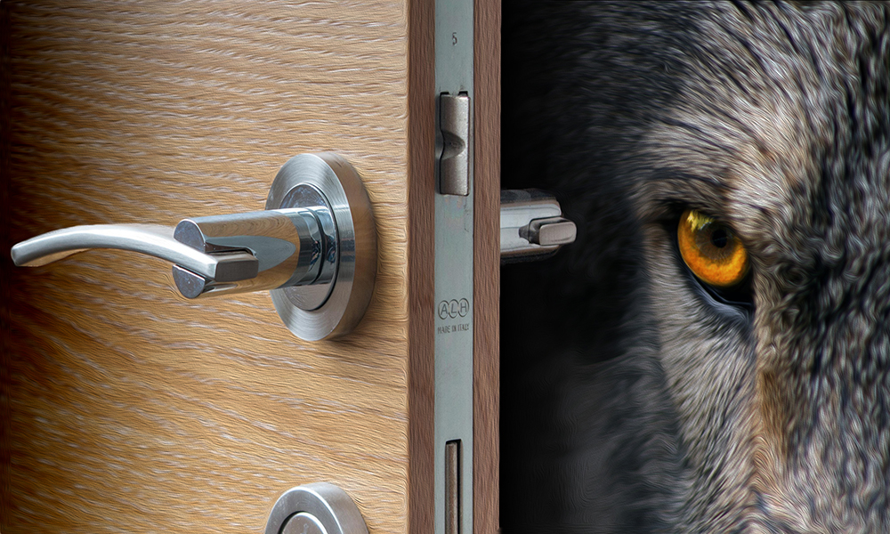 Story image for Jacob and the Wolf by Story image for Jacob and the Wolf by