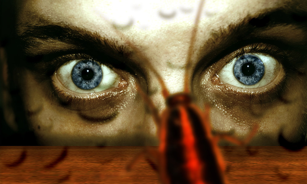 Story image for Greg: Not a People Person by Story image for Greg: Not a People Person by