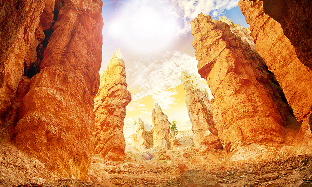 Thumbnail of Story image for The Vanishing Diminutive Girl Trick by  Thumbnail of Story image for The Vanishing Diminutive Girl Trick by